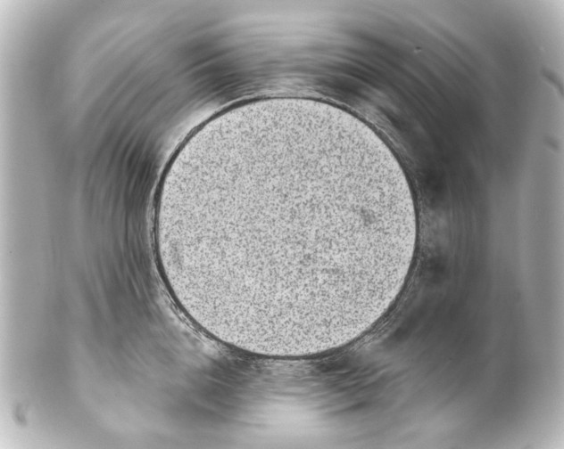 X0000101440856200807281021