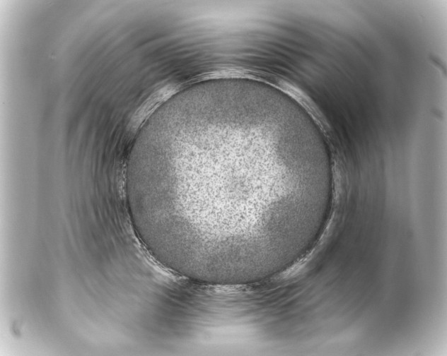 X0000101440857200807281021