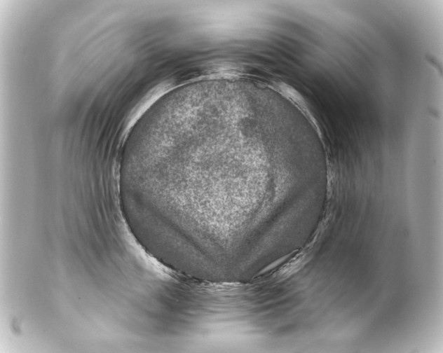 X0000101440859200807281021