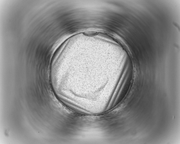 X0000101440860200807281021