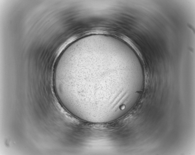 X0000101440861200807281021