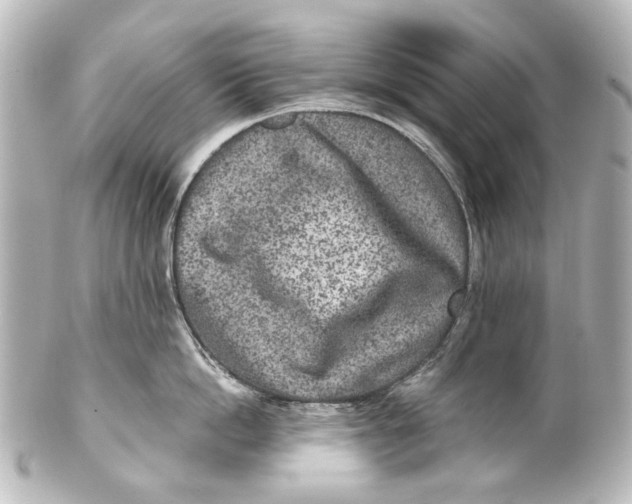 X0000101440862200807281021