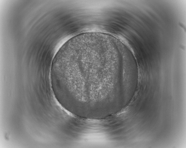 X0000101440863200807281021