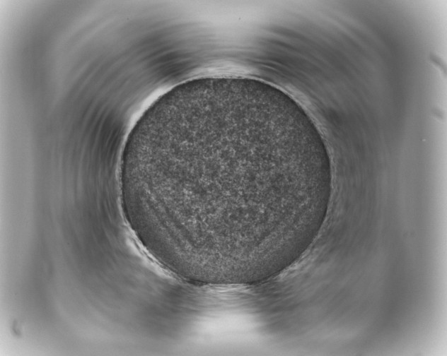 X0000101440864200807281021