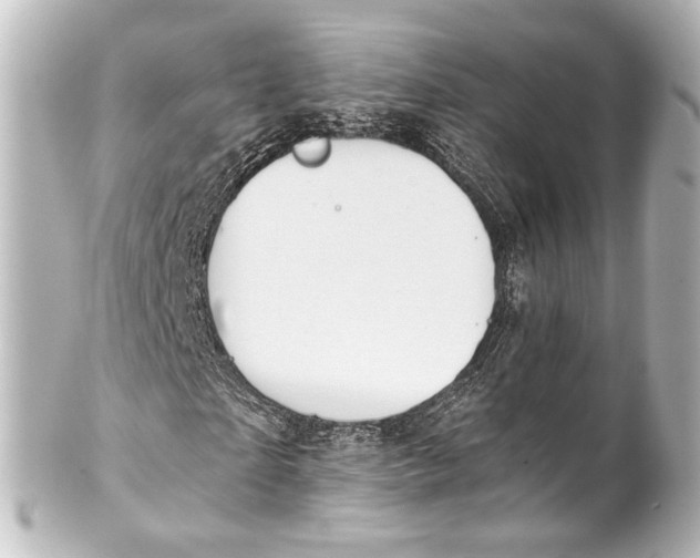 X0000101440865200807281020