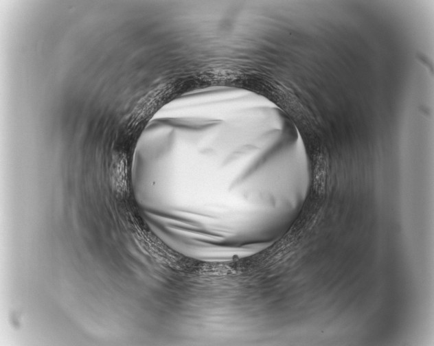 X0000101440866200807281020