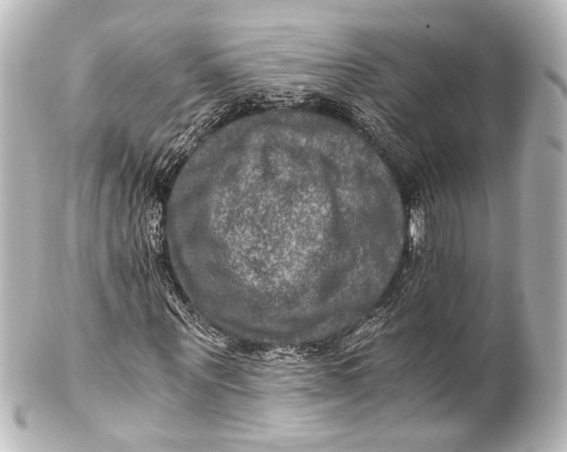 X0000101440867200807281020