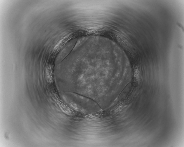 X0000101440868200807281020