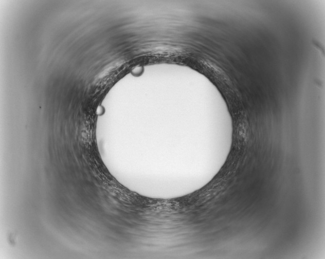 X0000101440869200807281020