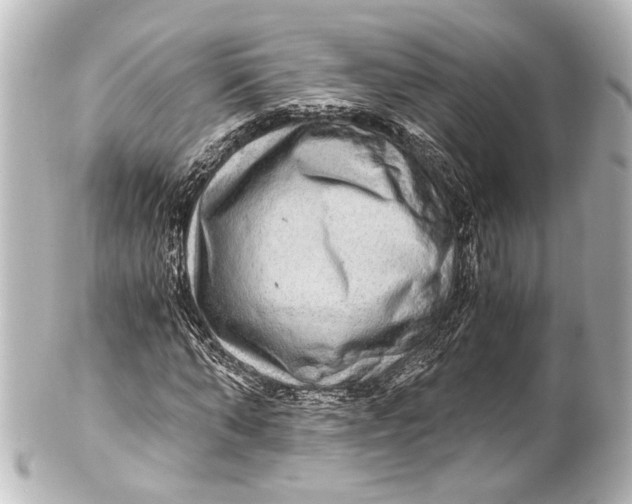 X0000101440870200807281020