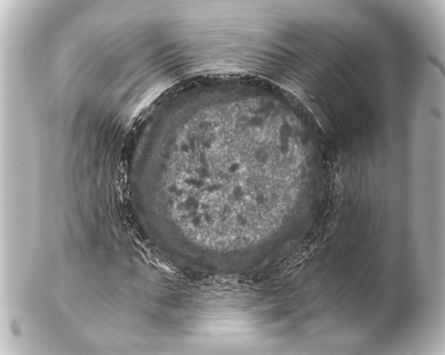 X0000101440871200807281020