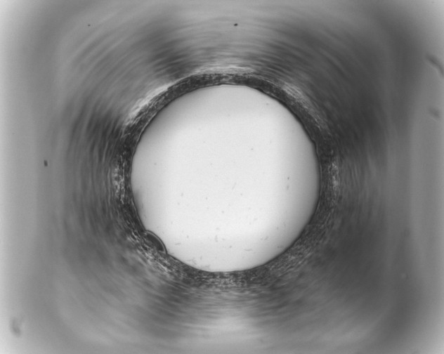 X0000101440872200807281020