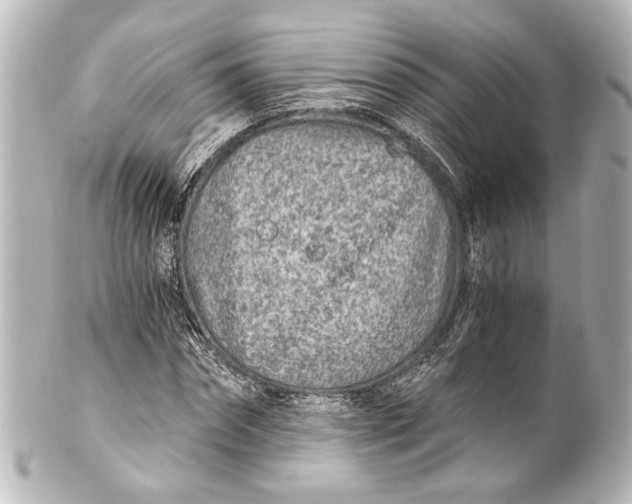 X0000101440874200807281020