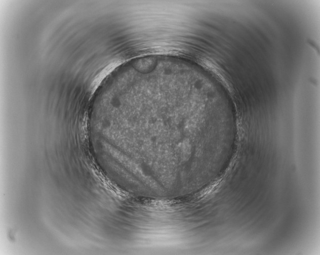 X0000101440875200807281020