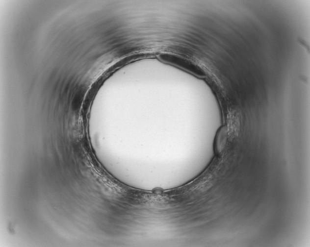 X0000101440876200807281020