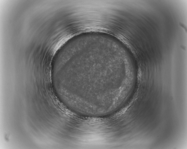 X0000101440877200807281020