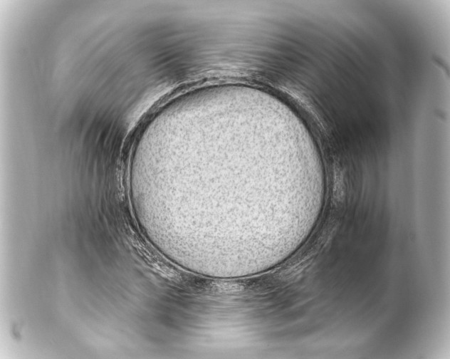 X0000101440878200807281020