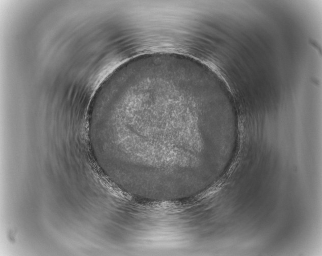 X0000101440879200807281020