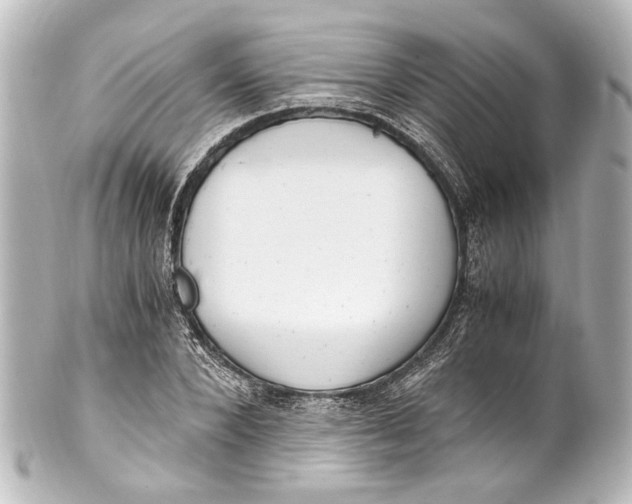 X0000101440880200807281020