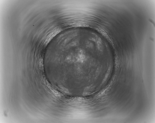 X0000101440881200807281020