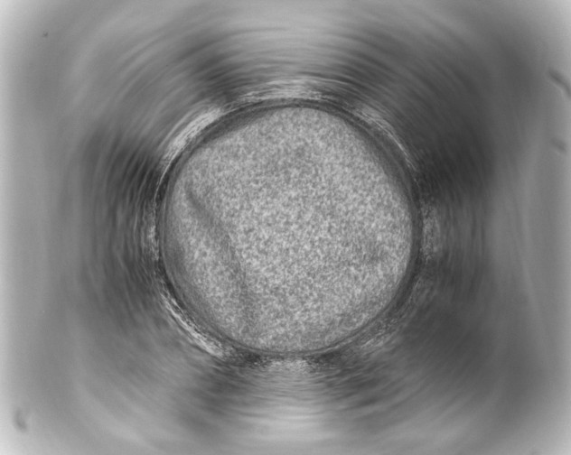 X0000101440882200807281020