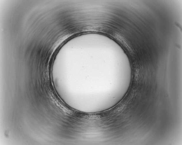 X0000101440884200807281020