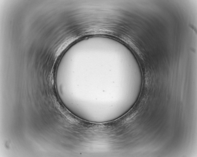 X0000101440885200807281020