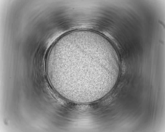 X0000101440886200807281020