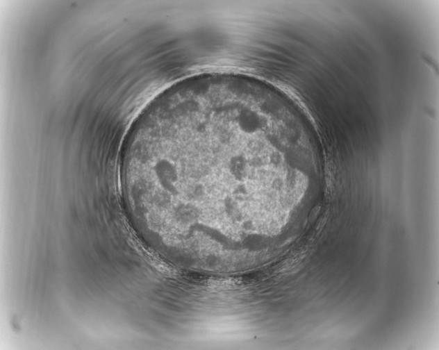 X0000101440887200807281020