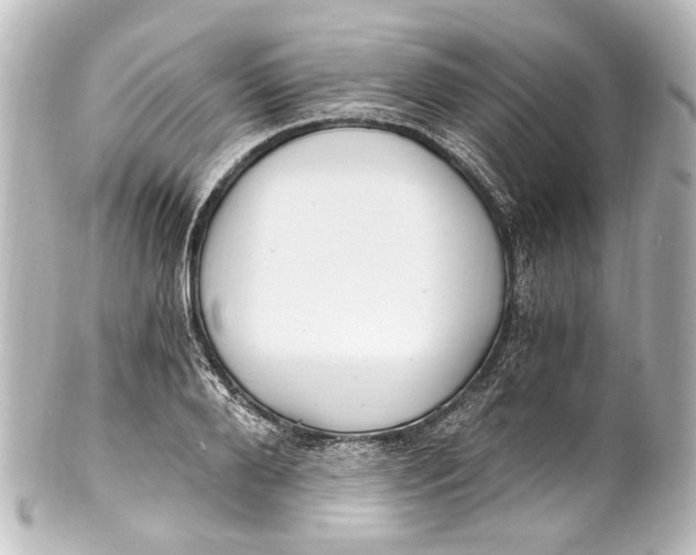 X0000101440888200807281020