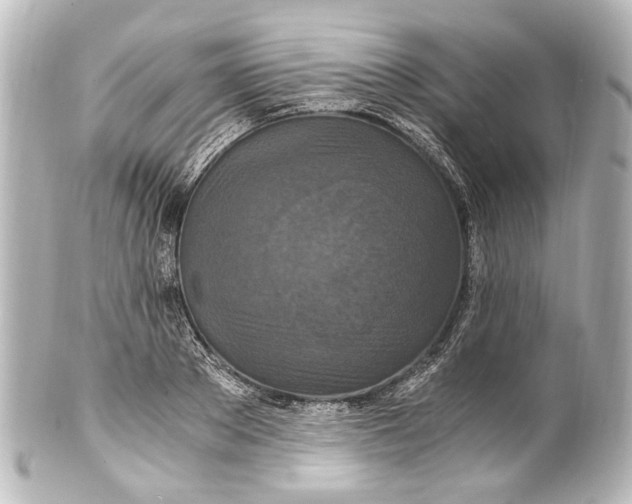 X0000101440889200807281020