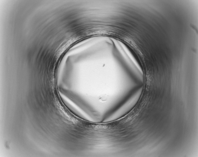 X0000101440890200807281020