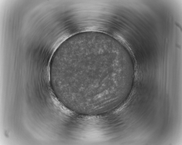 X0000101440892200807281020