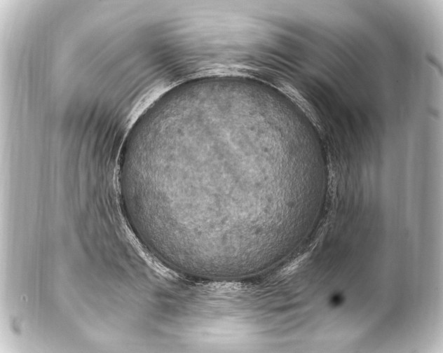 X0000101440893200807281020