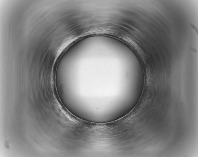 X0000101440894200807281020