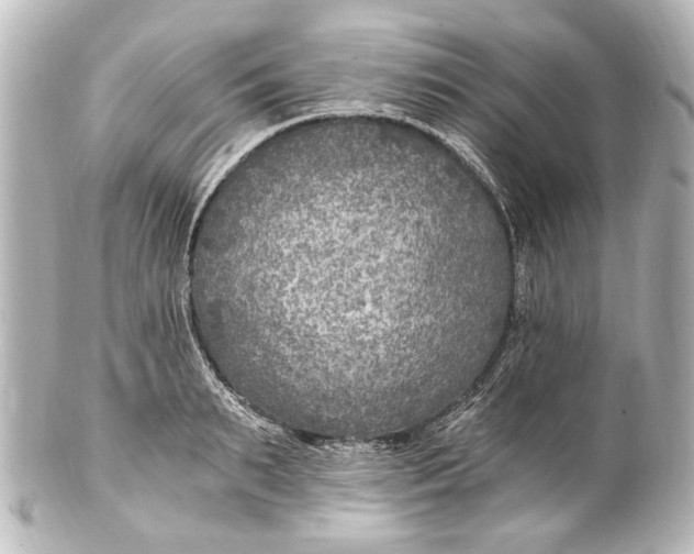 X0000101440895200807281020