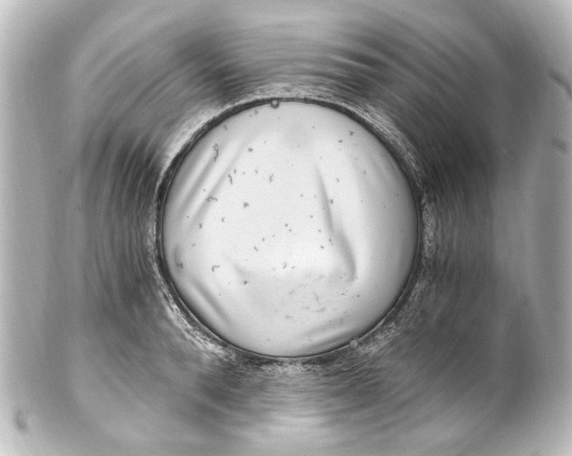 X0000101440896200807281020