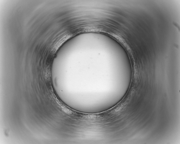 X0000101440897200807281020