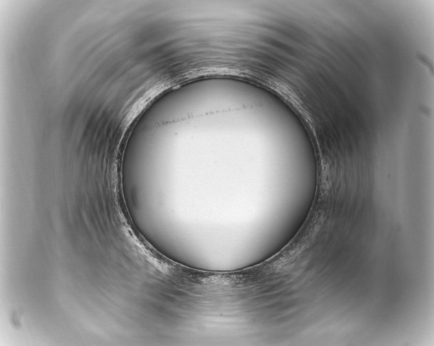 X0000101440898200807281020