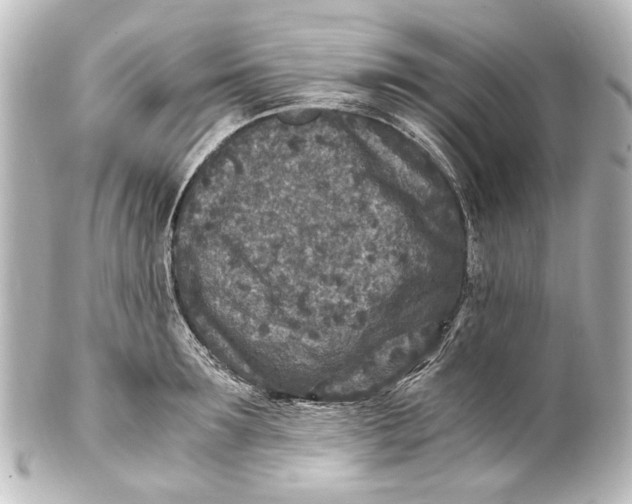 X0000101440899200807281020