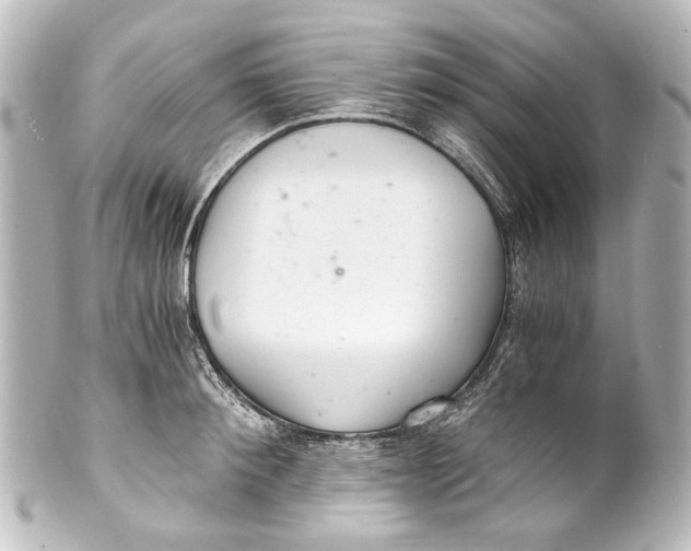 X0000101440900200807281020