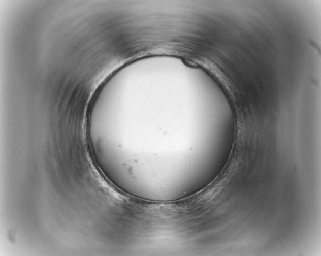 X0000101440902200807281020