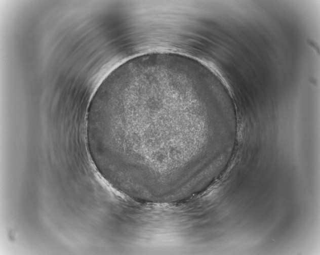 X0000101440903200807281020