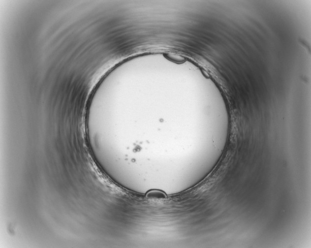 X0000101440904200807281020