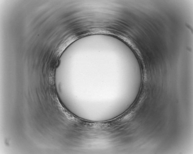 X0000101440905200807281020