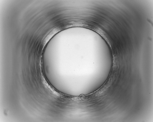 X0000101440906200807281020