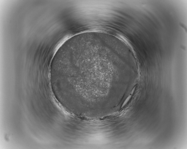 X0000101440907200807281020