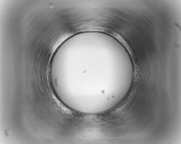 X0000101440909200807281020