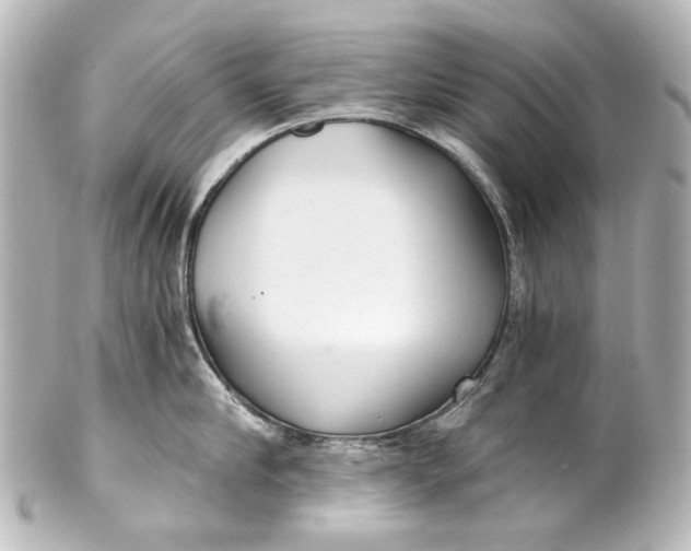 X0000101440910200807281020