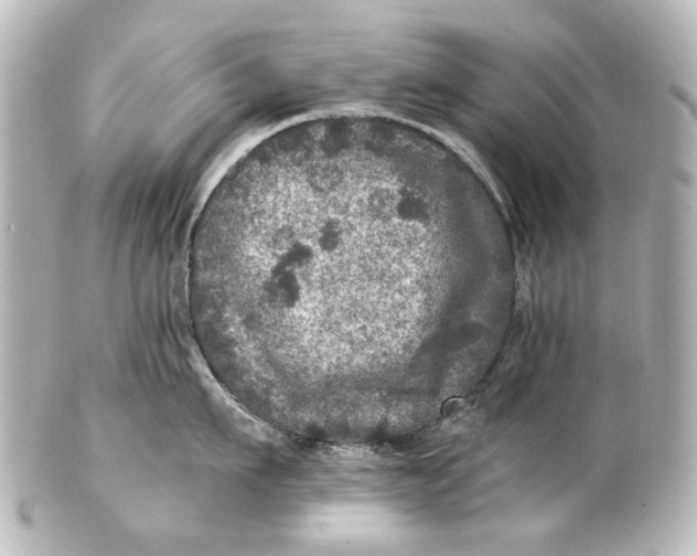 X0000101440911200807281020